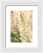 Load image into Gallery viewer, Summer Bells - Framed Print
