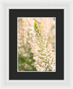 Load image into Gallery viewer, Summer Bells - Framed Print
