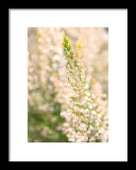 Load image into Gallery viewer, Summer Bells - Framed Print
