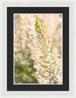 Load image into Gallery viewer, Summer Bells - Framed Print

