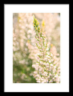 Load image into Gallery viewer, Summer Bells - Framed Print
