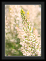 Load image into Gallery viewer, Summer Bells - Framed Print

