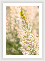 Load image into Gallery viewer, Summer Bells - Framed Print
