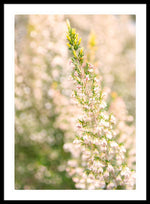 Load image into Gallery viewer, Summer Bells - Framed Print
