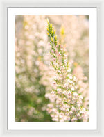 Load image into Gallery viewer, Summer Bells - Framed Print
