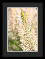 Load image into Gallery viewer, Summer Bells - Framed Print
