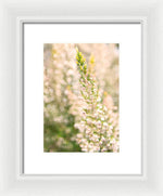 Load image into Gallery viewer, Summer Bells - Framed Print
