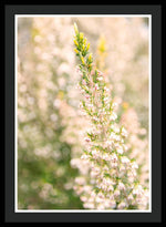 Load image into Gallery viewer, Summer Bells - Framed Print
