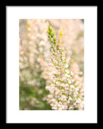 Load image into Gallery viewer, Summer Bells - Framed Print

