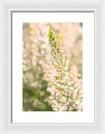 Load image into Gallery viewer, Summer Bells - Framed Print
