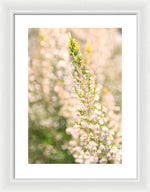 Load image into Gallery viewer, Summer Bells - Framed Print
