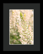 Load image into Gallery viewer, Summer Bells - Framed Print
