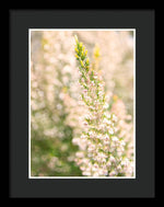 Load image into Gallery viewer, Summer Bells - Framed Print
