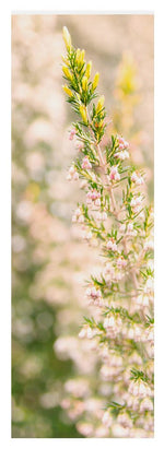 Load image into Gallery viewer, Summer Bells - Yoga Mat
