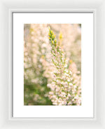 Load image into Gallery viewer, Summer Bells - Framed Print
