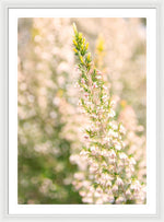 Load image into Gallery viewer, Summer Bells - Framed Print

