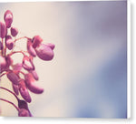 Load image into Gallery viewer, Summer Drops - Canvas Print
