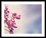 Load image into Gallery viewer, Summer Drops - Framed Print

