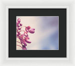 Load image into Gallery viewer, Summer Drops - Framed Print
