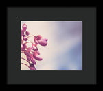 Load image into Gallery viewer, Summer Drops - Framed Print
