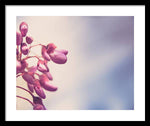 Load image into Gallery viewer, Summer Drops - Framed Print
