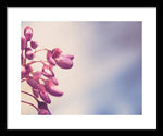 Load image into Gallery viewer, Summer Drops - Framed Print
