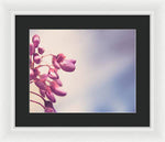 Load image into Gallery viewer, Summer Drops - Framed Print
