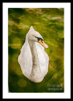 Load image into Gallery viewer, Swan  - Framed Print
