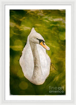 Load image into Gallery viewer, Swan  - Framed Print
