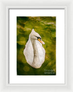 Load image into Gallery viewer, Swan  - Framed Print
