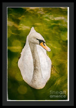 Load image into Gallery viewer, Swan  - Framed Print
