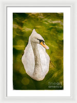Load image into Gallery viewer, Swan  - Framed Print
