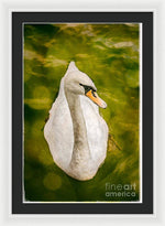 Load image into Gallery viewer, Swan  - Framed Print
