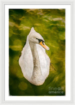 Load image into Gallery viewer, Swan  - Framed Print
