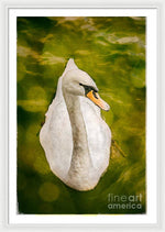 Load image into Gallery viewer, Swan  - Framed Print
