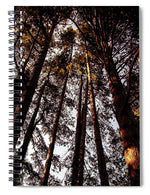 Load image into Gallery viewer, Tall Trees - Spiral Notebook
