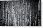 Load image into Gallery viewer, Tate Modern Trees - Canvas Print
