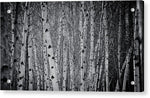 Load image into Gallery viewer, Tate Modern Trees - Acrylic Print
