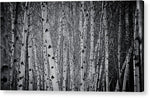 Load image into Gallery viewer, Tate Modern Trees - Acrylic Print
