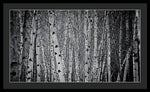 Load image into Gallery viewer, Tate Modern Trees - Framed Print
