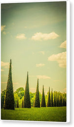 Load image into Gallery viewer, The Knot Garden's Triangular Landscaping - Canvas Print
