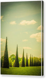 Load image into Gallery viewer, The Knot Garden's Triangular Landscaping - Canvas Print

