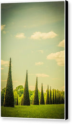 Load image into Gallery viewer, The Knot Garden's Triangular Landscaping - Canvas Print
