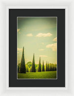 Load image into Gallery viewer, The Knot Garden's Triangular Landscaping - Framed Print
