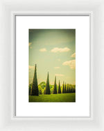 Load image into Gallery viewer, The Knot Garden's Triangular Landscaping - Framed Print
