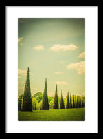 Load image into Gallery viewer, The Knot Garden's Triangular Landscaping - Framed Print
