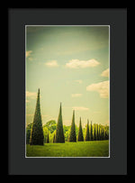Load image into Gallery viewer, The Knot Garden's Triangular Landscaping - Framed Print
