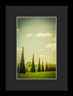 Load image into Gallery viewer, The Knot Garden's Triangular Landscaping - Framed Print
