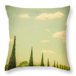 Load image into Gallery viewer, The Knot Garden's Triangular Landscaping - Throw Pillow
