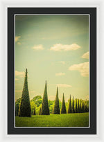 Load image into Gallery viewer, The Knot Garden's Triangular Landscaping - Framed Print
